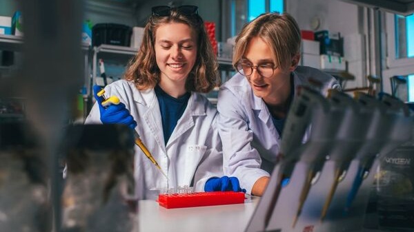 Dwie osoby w białych fartuchach i rękawiczkach pracują w laboratorium, używając pipety do dozowania cieczy do probówek ustawionych w czerwonym stojaku.