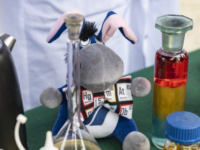 Uniwersytecka maskotka (Usiołek) na stole wśród probówek Chemicznych